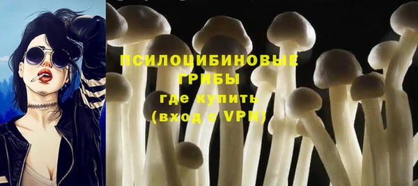 гашик Инта