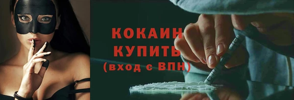 гашик Инта