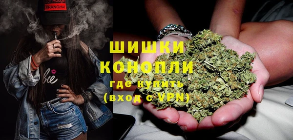 метадон Ельня