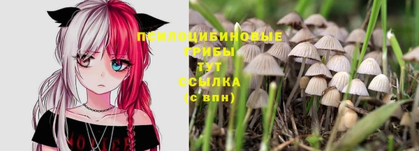 трава Заволжск