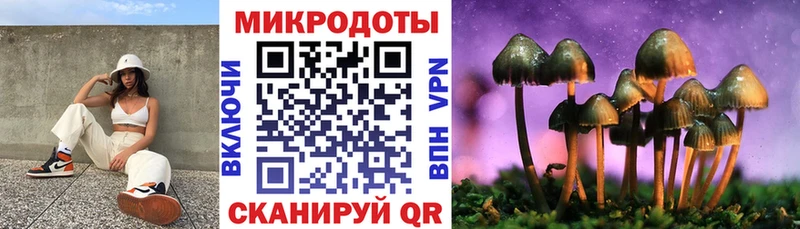 Галлюциногенные грибы ЛСД  Купить закладки  Меленки 